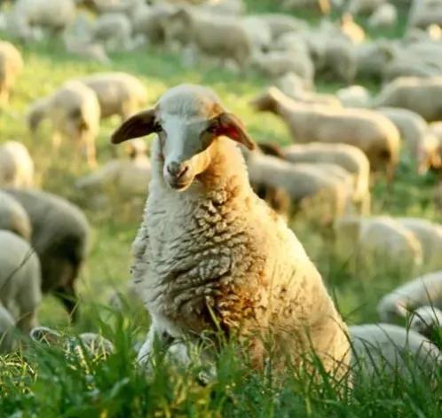 银行买基金我亏了5万（银行买基金我亏了5万块钱）