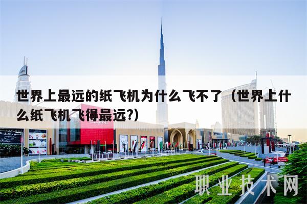 世界上最远的纸飞机为什么飞不了（世界上什么纸飞机飞得最远？）