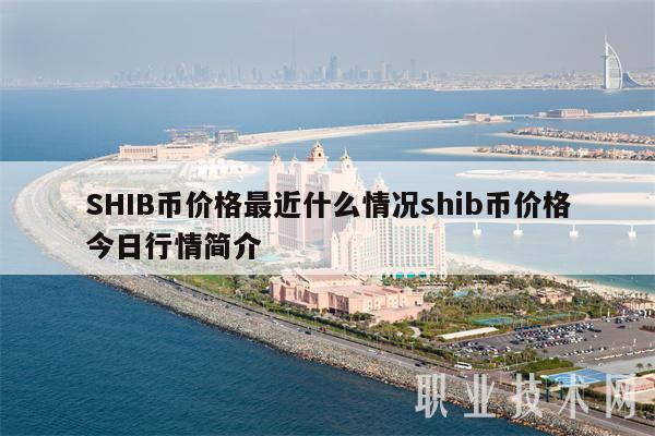 SHIB币价格最近什么情况shib币价格今日行情简介