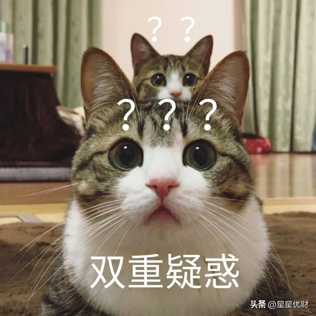 阳光私募基金的运作流程（如何成立阳光私募基金）