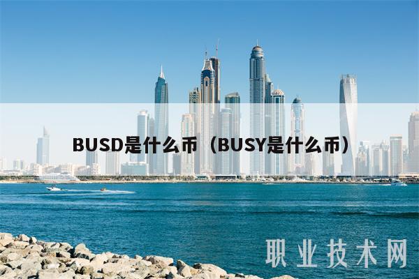 BUSD是什么币（BUSY是什么币）