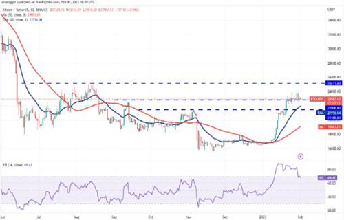 比特币最新价格行情 BTC今日最新价格2