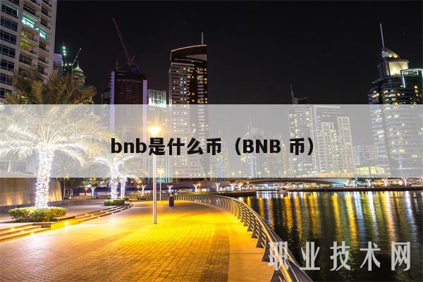 bnb是什么币（BNB 币）