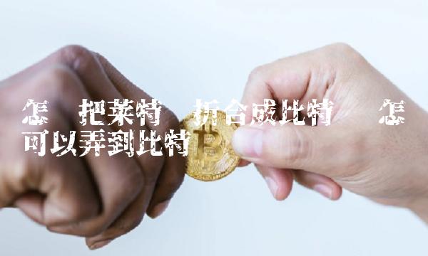 怎样把莱特币折合成比特币