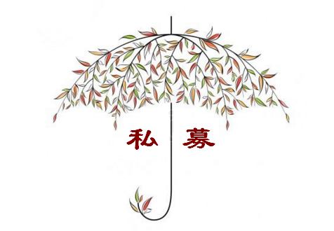 淡水泉基金持仓股票怎么样（淡水泉基金公司怎么样）