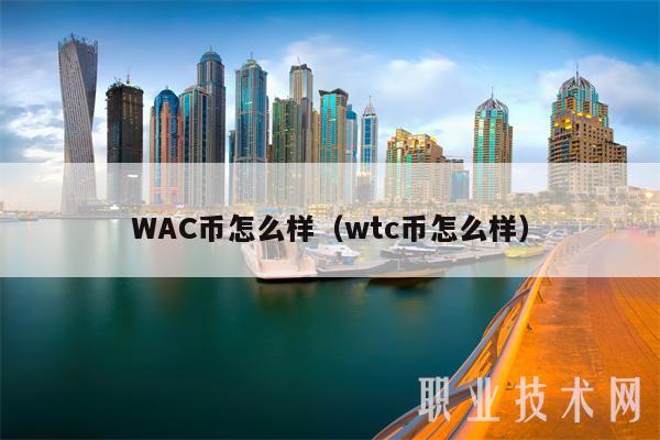 WAC币怎么样（wtc币怎么样）