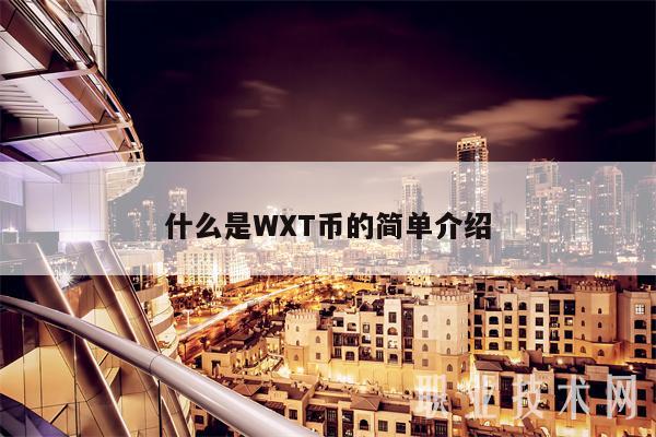 什么是WXT币的简单介绍