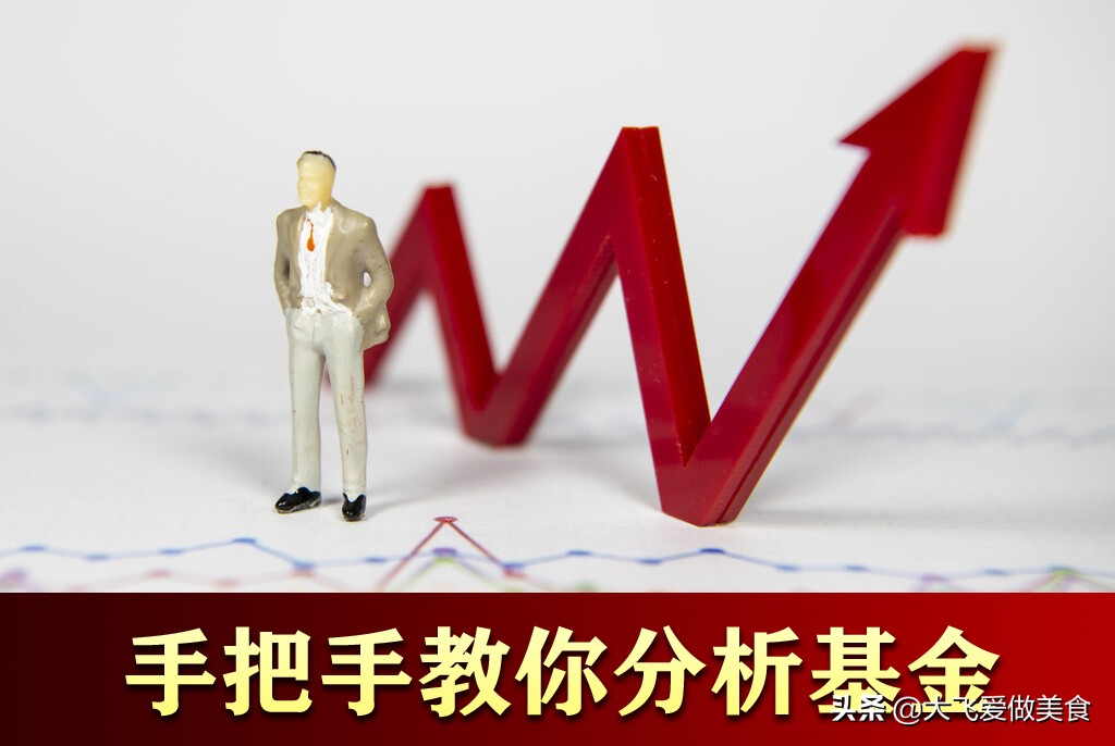 新手怎样了解基金（基金怎么玩 新手如何入手）