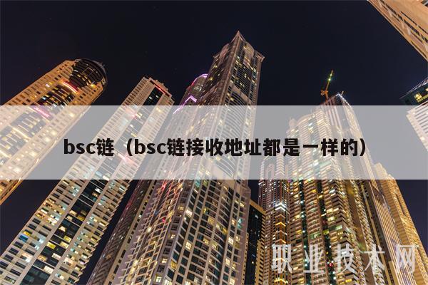 bsc链（bsc链接收地址都是一样的）