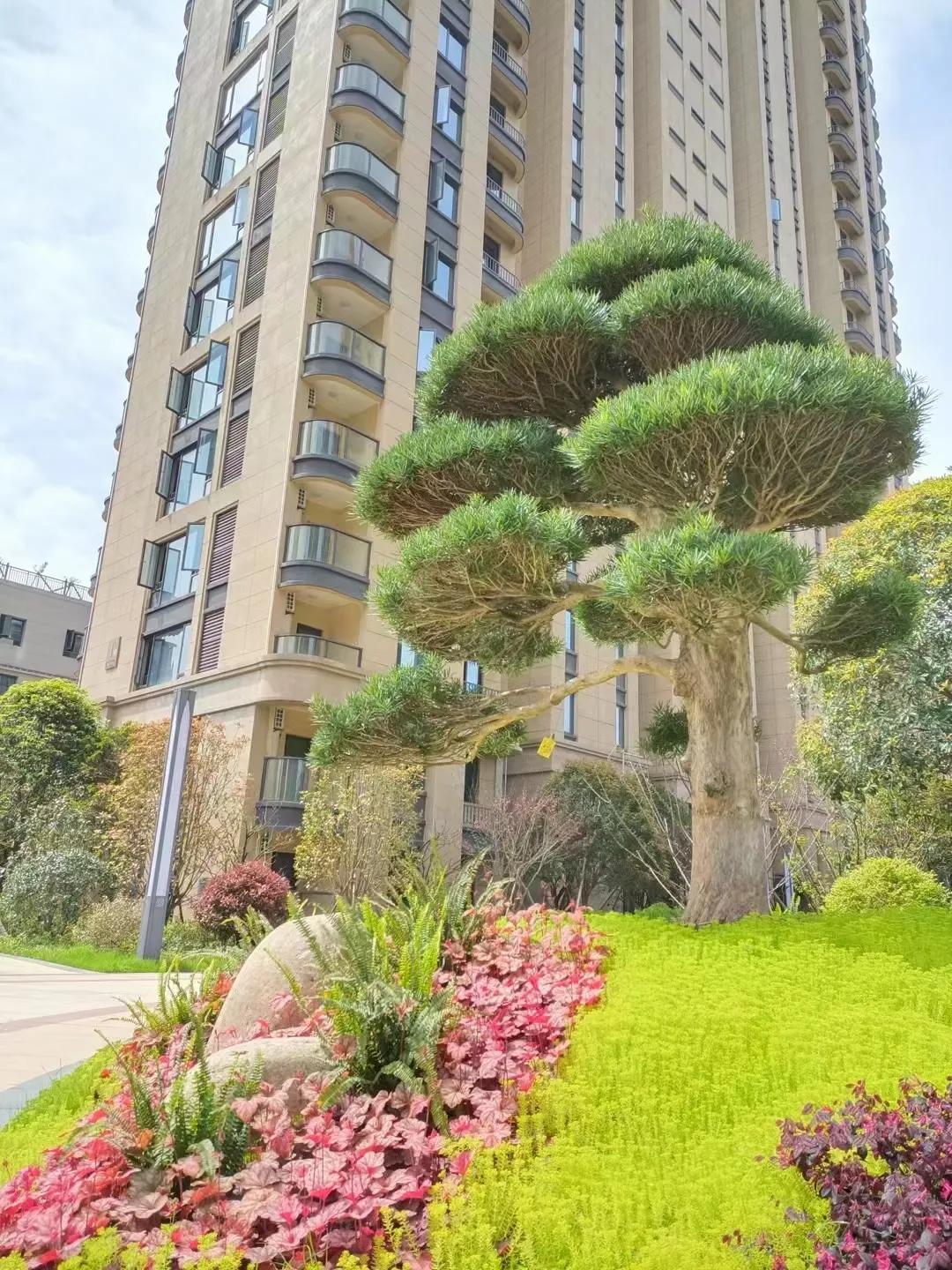 1万元股票进出要多少手续费(1万元买股票要多少手续费)