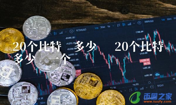 20个比特币多少钱一个