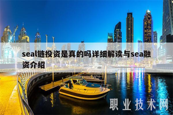 seal链投资是真的吗详细解读与sea融资介绍