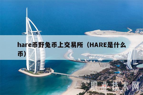 hare币野兔币上交易所（HARE是什么币）
