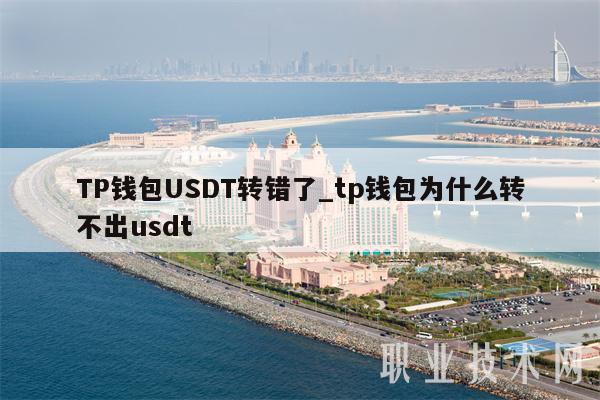 TP钱包USDT转错了_tp钱包为什么转不出usdt
