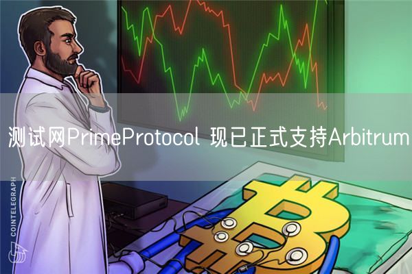 测试网PrimeProtocol 现已正式支持Arbitrum