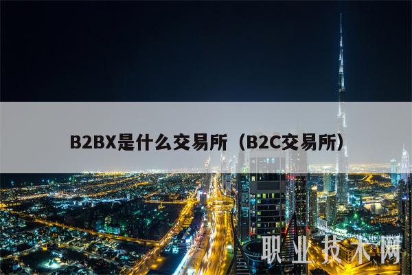 B2BX是什么交易所（B2C交易所）