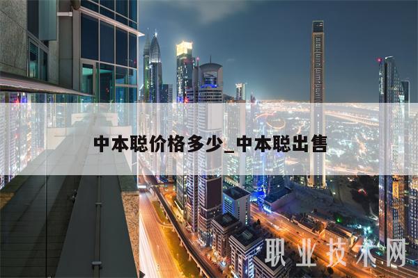 中本聪价格多少_中本聪出售