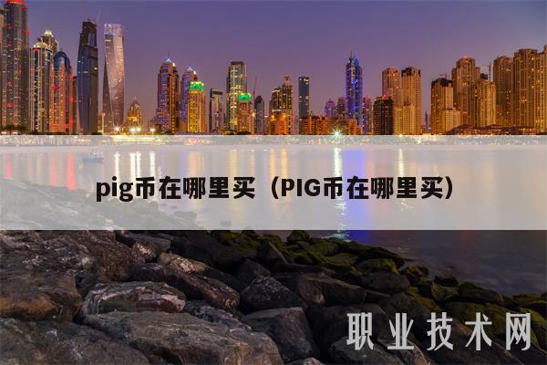 pig币在哪里买（PIG币在哪里买）