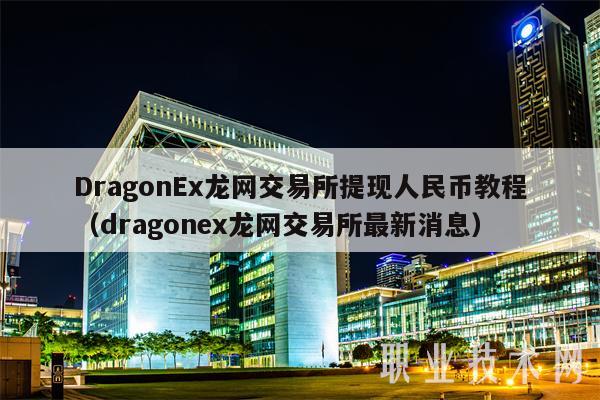 DragonEx龙网交易所提现人民币教程（dragonex龙网交易所最新消息）