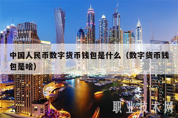 中国人民币数字货币钱包是什么（数字货币钱包是啥）