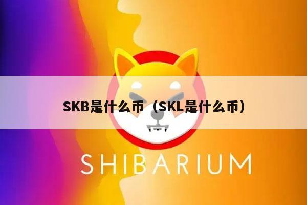 SKB是什么币(SKL是什么币)