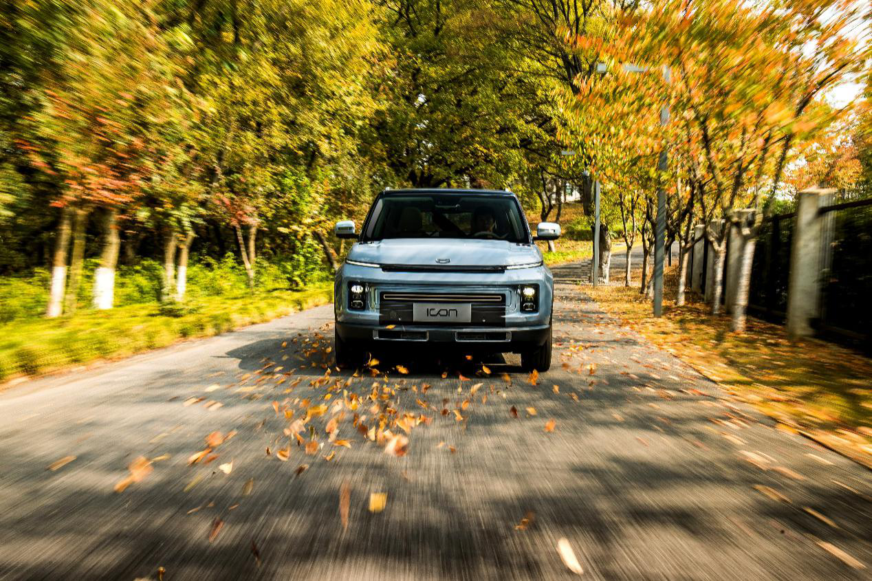 icon啥意思（新冠icon啥意思）