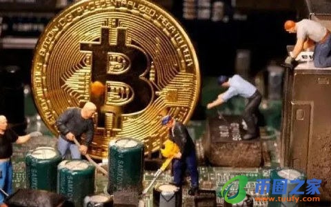 比特币买卖交易平台有哪些_国内正规的比特币交易平台app哪个好推荐