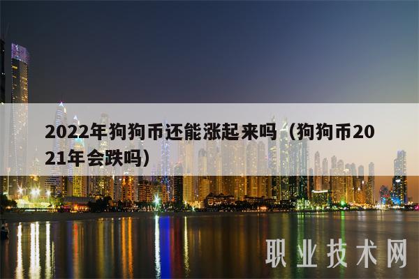 2022年狗狗币还能涨起来吗（狗狗币2021年会跌吗）