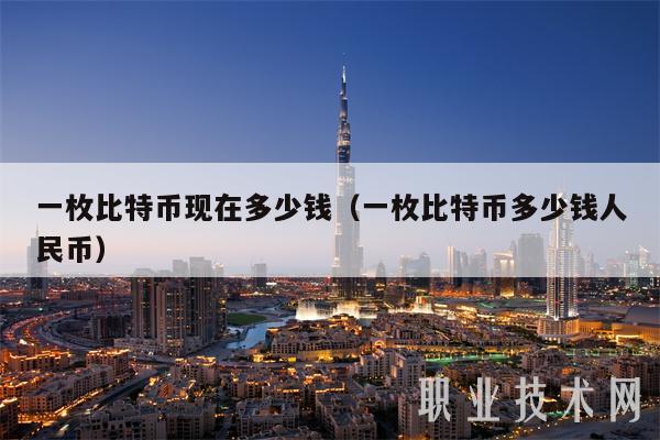 一枚比特币现在多少钱（一枚比特币多少钱人民币）