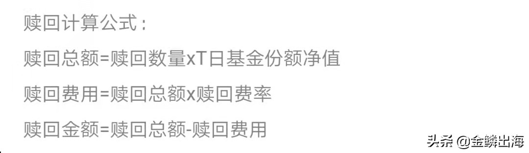 新手买基金教程（买基金实操教程）7