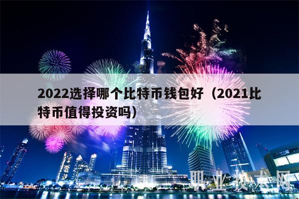 2022选择哪个比特币钱包好(2021比特币值得投资吗)