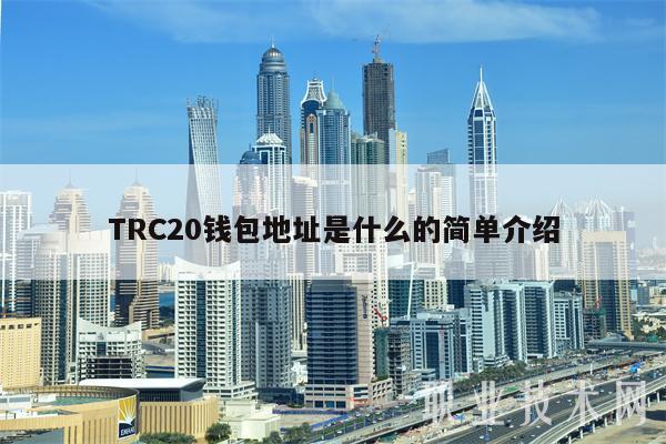 TRC20钱包地址是什么的简单介绍