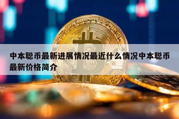 中本聪币最新进展情况最近什么情况中本聪币最新价格简介