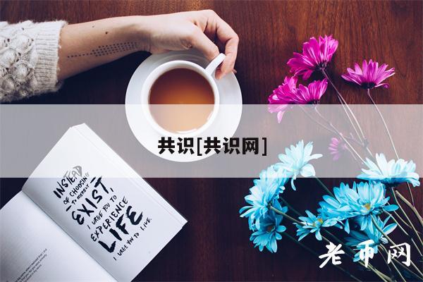 共识[共识网]