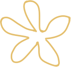 常识题库及答案(历史常识题库及答案)