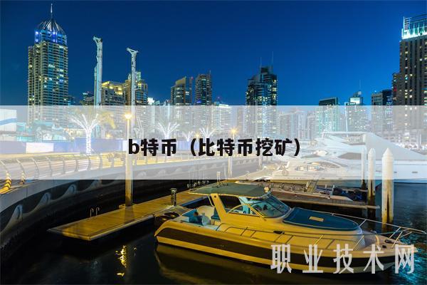 b特币（比特币挖矿）