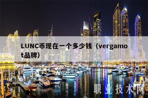 LUNC币现在一个多少钱（vergamot品牌）