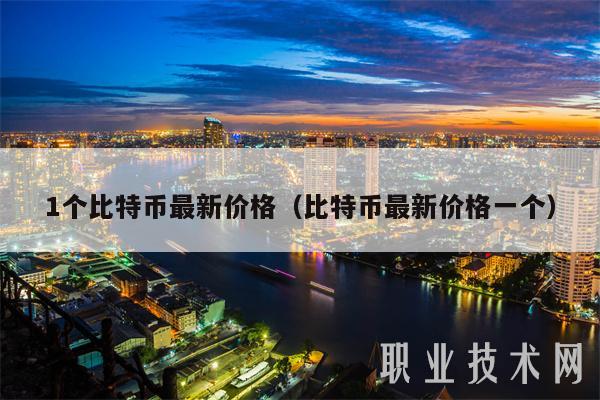 1个比特币最新价格（比特币最新价格一个）