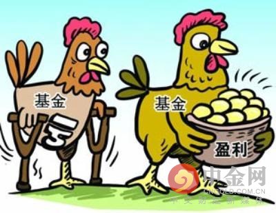 买基金入门(基金新手入门) 买基金入门(基金新手入门)