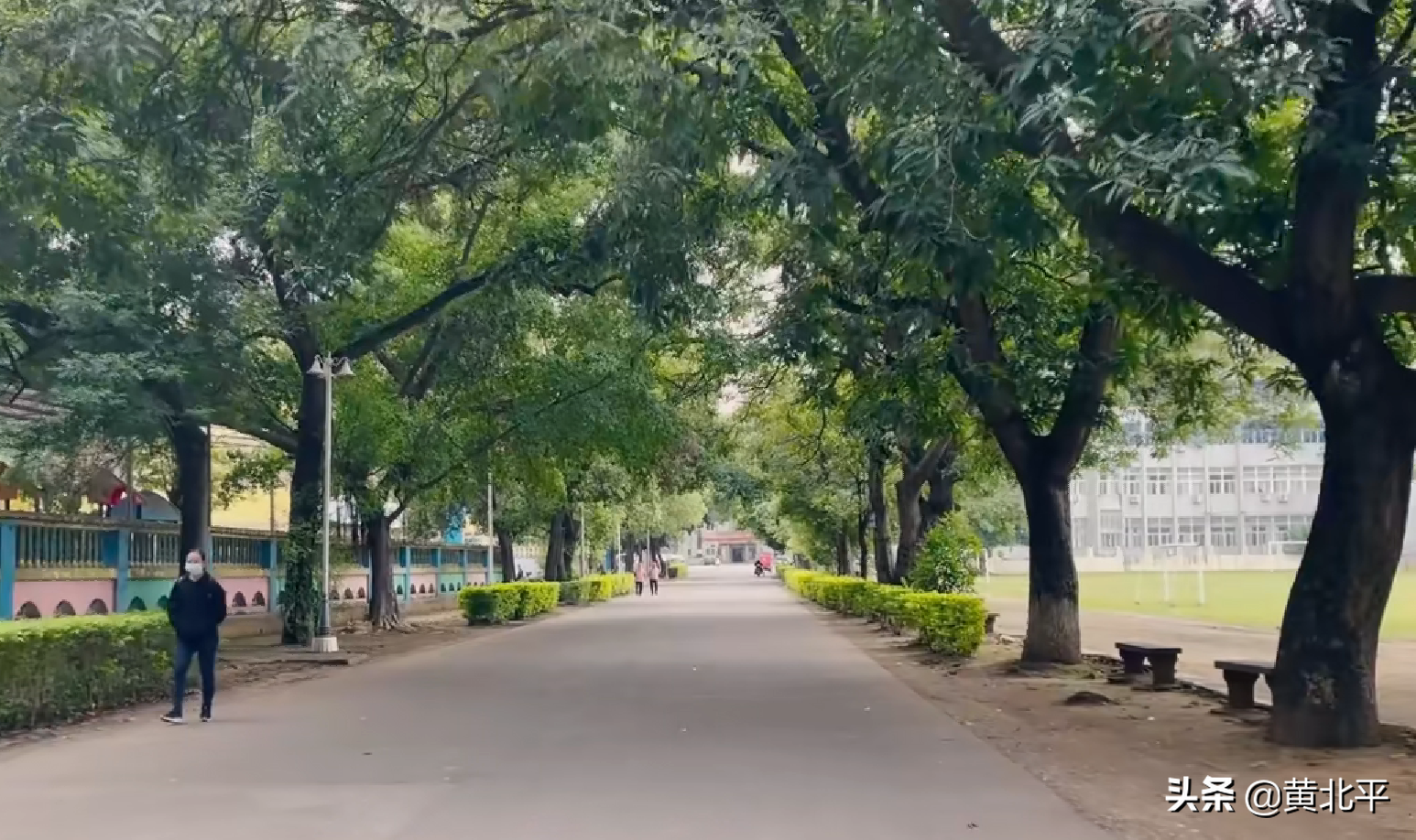 贵糖股份（贵糖股份股票）