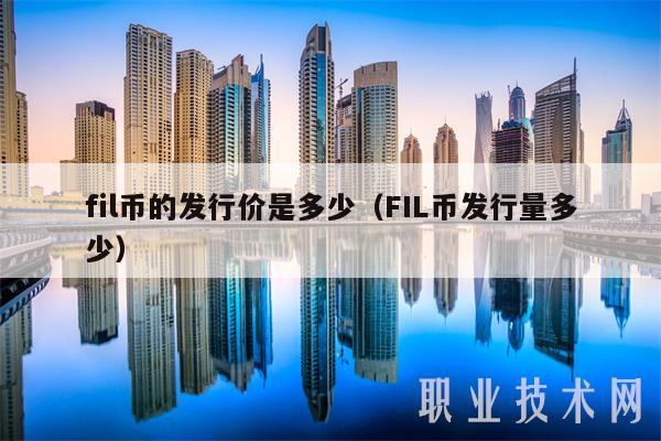 fil币的发行价是多少（FIL币发行量多少）