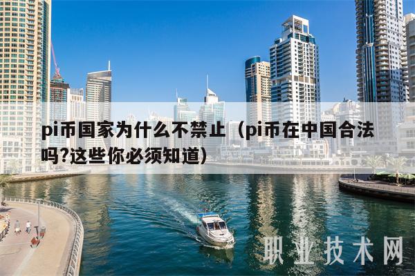 pi币国家为什么不禁止（pi币在中国合法吗？这些你必须知道）