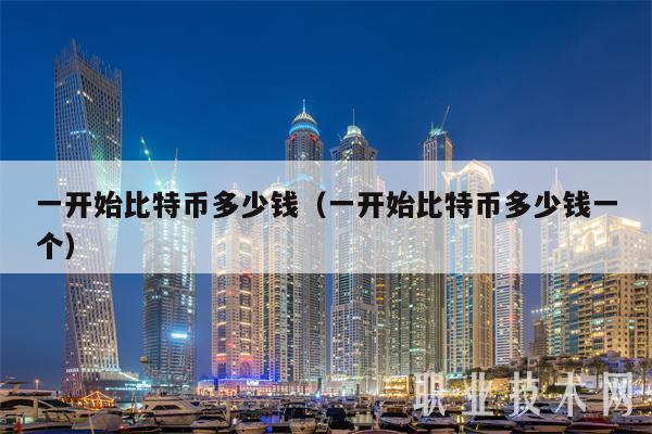 一开始比特币多少钱（一开始比特币多少钱一个）