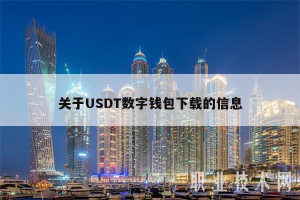 关于USDT数字钱包下载的信息插图 关于USDT数字钱包下载的信息