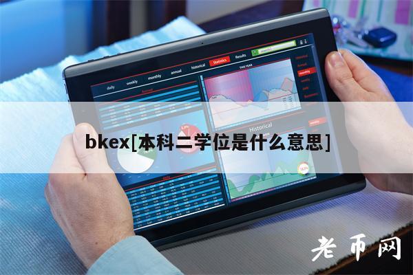 bkex[本科二学位是什么意思]