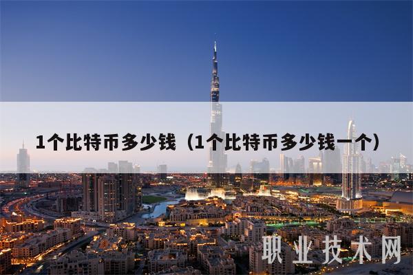 1个比特币多少钱（1个比特币多少钱一个）