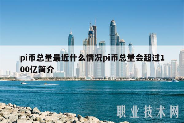 pi币总量最近什么情况pi币总量会超过100亿简介