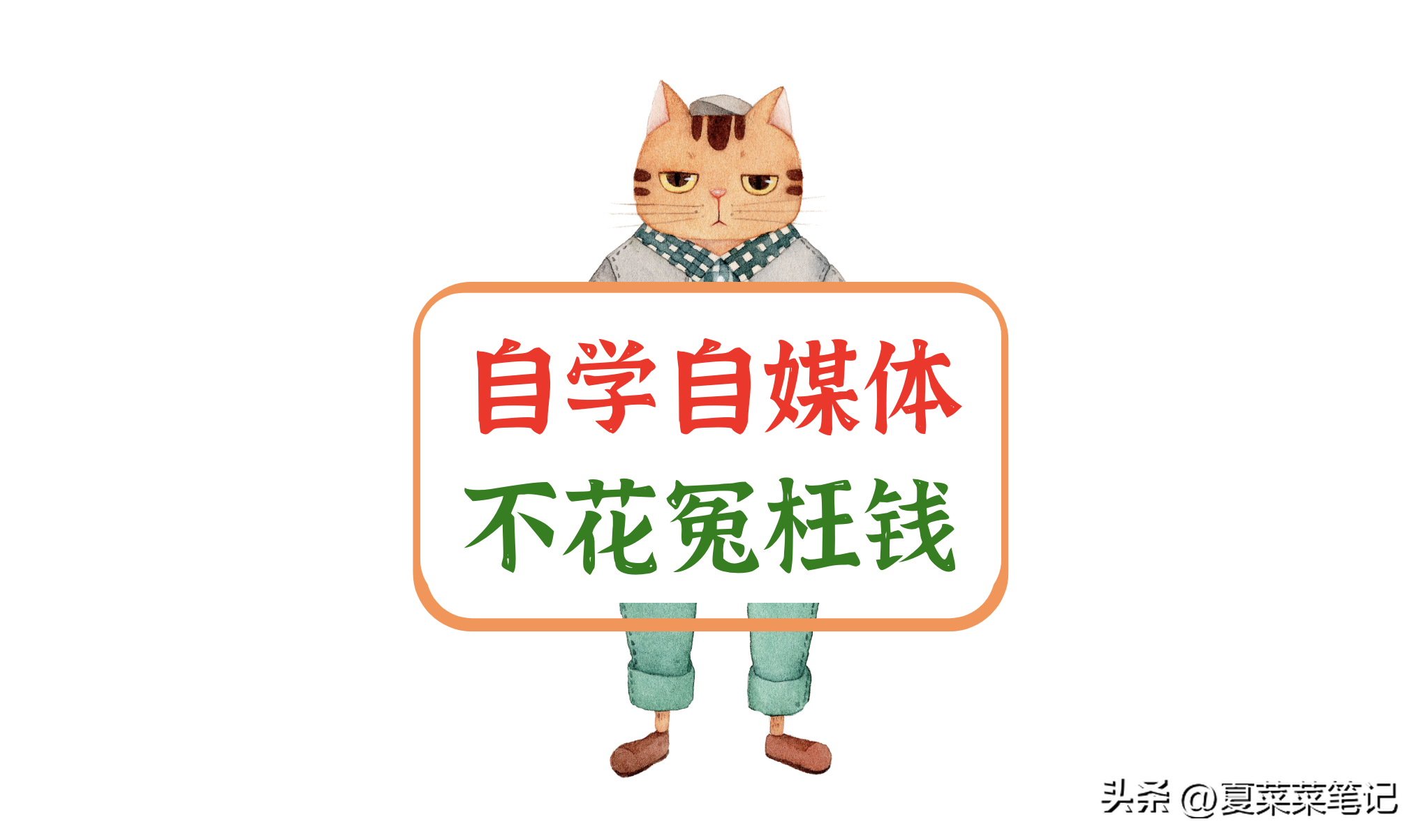 怎样在微视频上挣钱（微视视频怎么挣钱一天能挣多少）