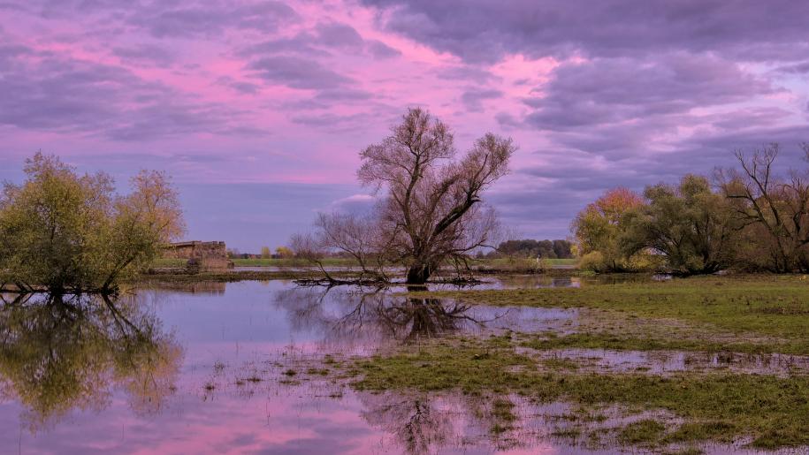 2020基金从业报名和考试时间(基金从业报名2020时间及考试时间)