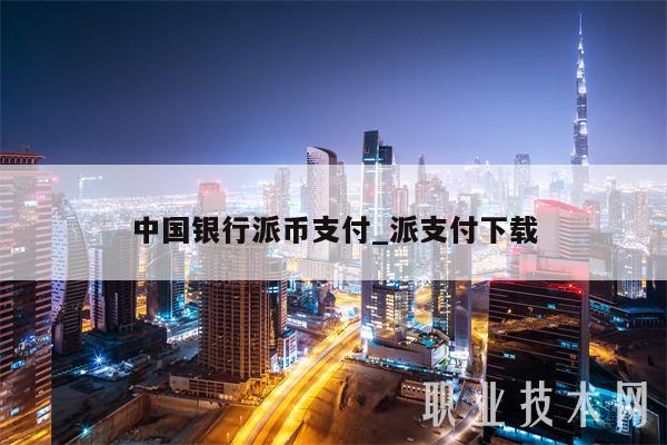 中国银行派币支付_派支付下载